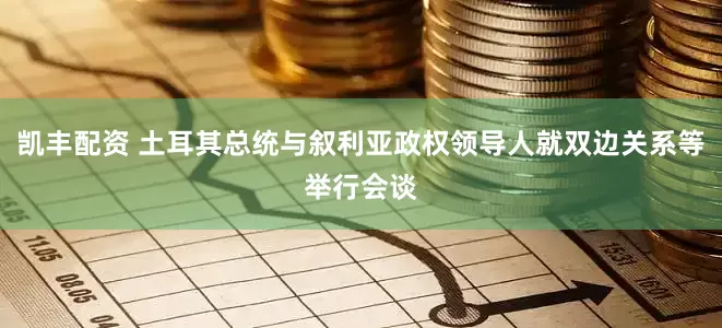 凯丰配资 土耳其总统与叙利亚政权领导人就双边关系等举行会谈