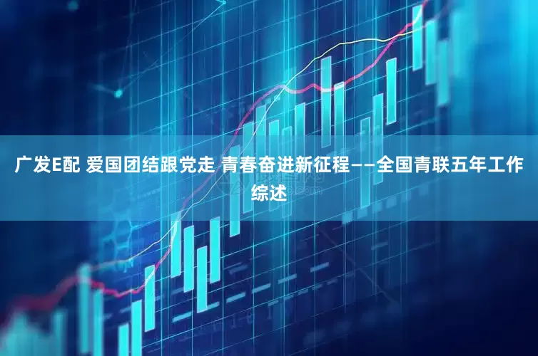 广发E配 爱国团结跟党走 青春奋进新征程——全国青联五年工作综述