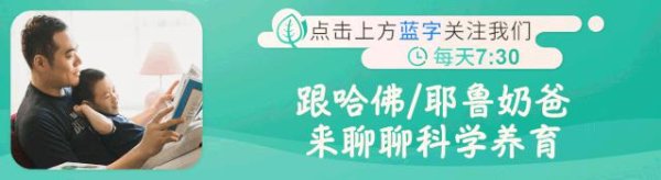 日天金策略 中考后带娃旅行，状况百出却被夸 “最完美”
