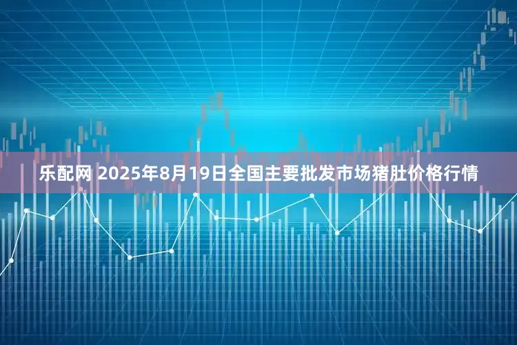 乐配网 2025年8月19日全国主要批发市场猪肚价格行情