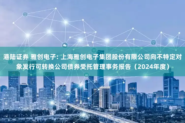 港陆证券 雅创电子: 上海雅创电子集团股份有限公司向不特定对象发行可转换公司债券受托管理事务报告（2024年度）