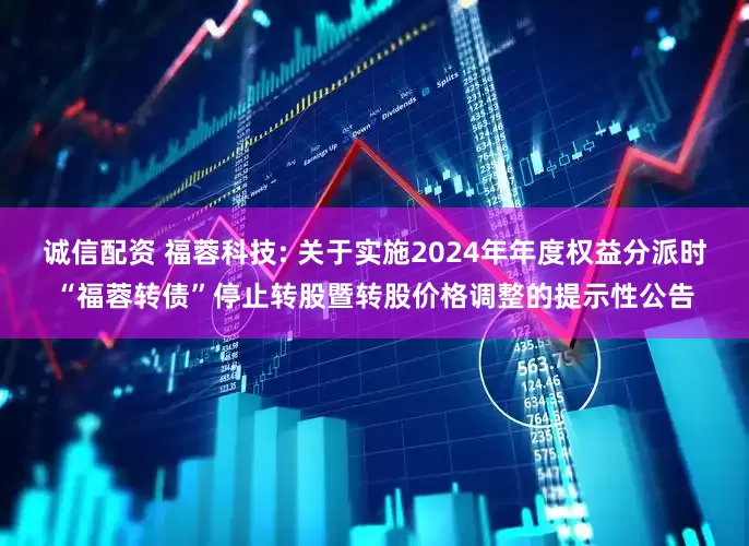 诚信配资 福蓉科技: 关于实施2024年年度权益分派时“福蓉转债”停止转股暨转股价格调整的提示性公告